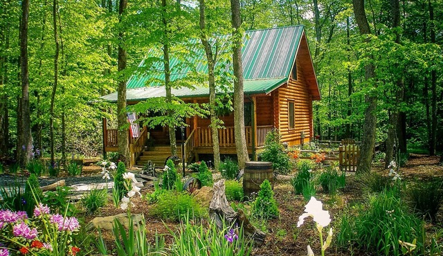 Creekside Serenade: Todd Cabin w/Hot Tub, Creekfront, 2 Kings & Fenced Yard
