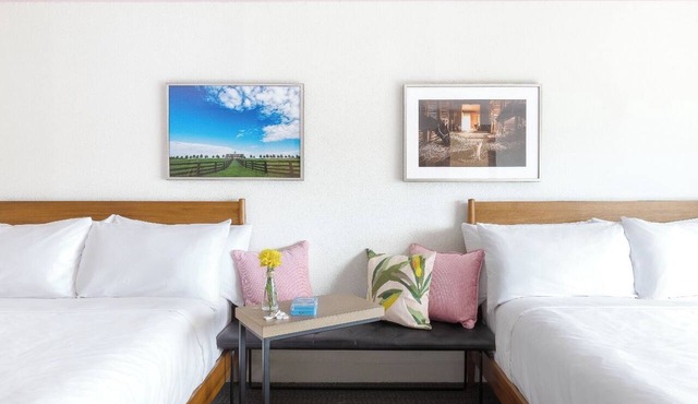 Double Queen Sanctuary, Elwood Hotel & Suites, Horse Country Nearby