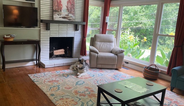 Downtown Brevard Hideaway Steps from Main St Restaurants-Dog Friendly, Fenced