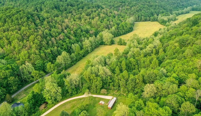 Fire Pit & Fall Foliage Views: Kentucky Mtn Home!