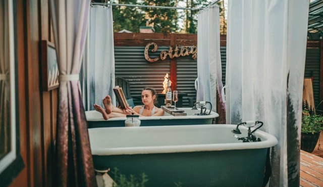 Forest Cottage with Hot Tub, Outdoor Baths & Alpacas