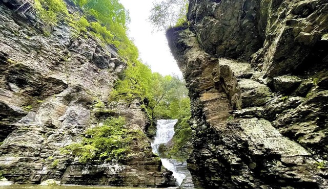 Forest Tiny Cabin & Majestic Waterfall