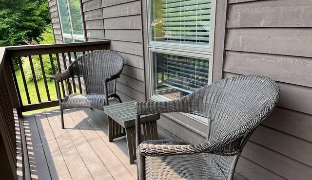 Franklin’s Tower: Mountain Views, Hot Tub, Dog-Friendly