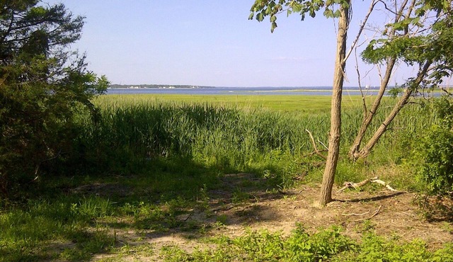 Hampton's Tranquil getaway near bay & ocean waters.
