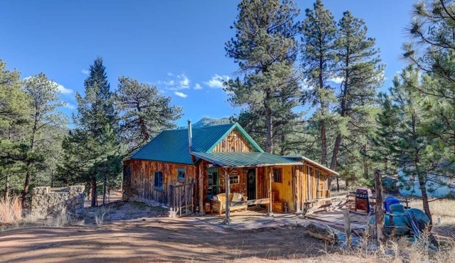 Historical Cabin with gorgeous views in Pine, Colorado!
