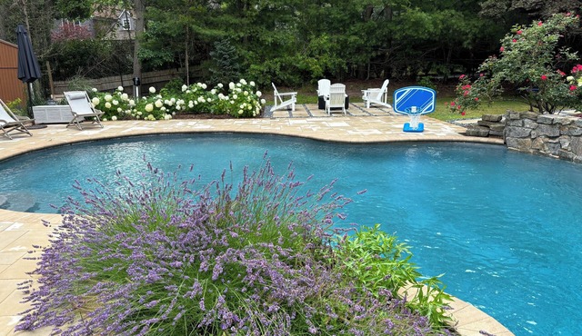 Just renovated, Amazing oasis, heated pool-spa, between Sag Harbor -Southampton