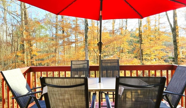King Bed, Workspace, Games near RDU, RTP, Downtown