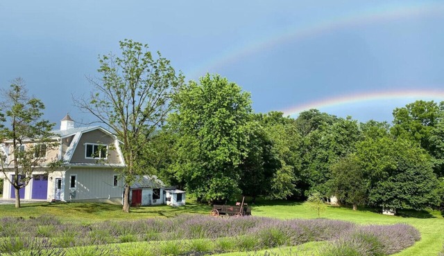 La Soledad Lavender Farm on the Potomac
