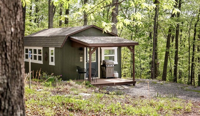 Modern Tiny Cabin with Game Room & Fire Pit in West Virginia