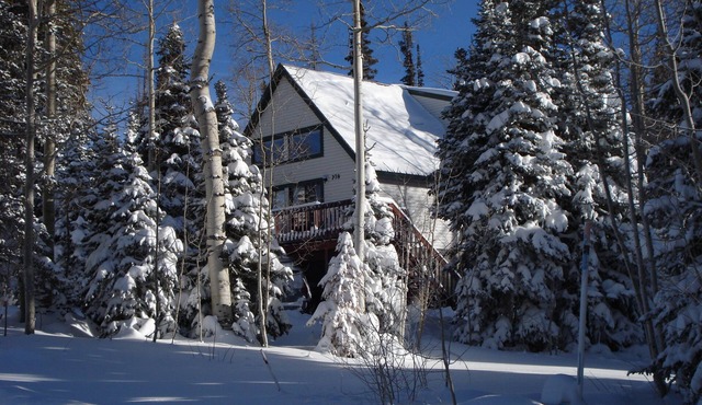 Mountain Cabin Perfect for Families!