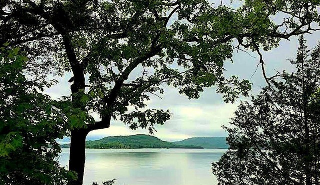 Nestle Inn Cottage, Lovely One Level Lake Cottage with Treehouse Feel