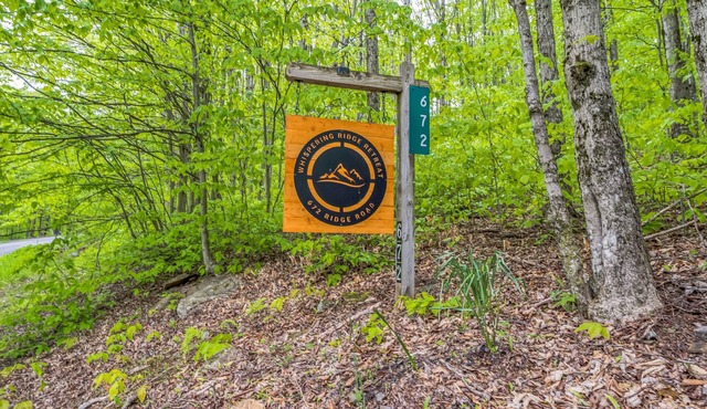 NEW! Modern Mountain Retreat Near Dolly Sods & Skiing