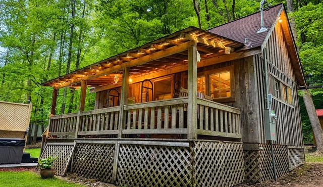 New! Rustic Creekside Cabin-Hot Tub, Cozy, Private