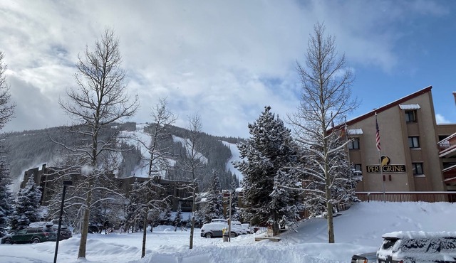 Newly Remodeled 2Bd, 2Ba/Steps From The Super B-lift/ski rental/restaurant/bus