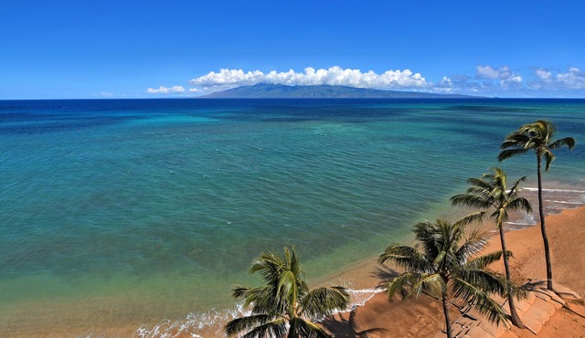 Ocean Front @ Great Price-8th Floor- Listen to Ocean from the Master Bedroom