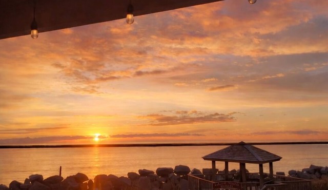 Oceanfront + Pool, Pet-friendly, 1st Floor, Next to Pier Tiki Bar and restaurant