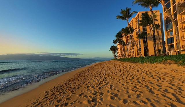 Oceanfront Suite w/Floor to Ceiling Windows, Lanai, Free WiFi & Free Parking