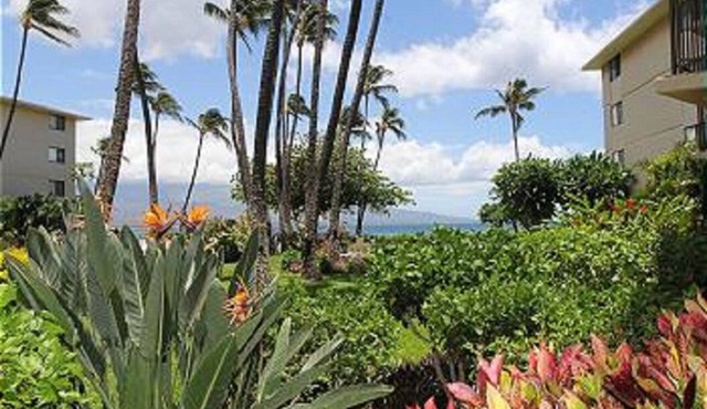 Oceanview Ground Floor Condo Kanai A Nalu 108 in Maalaea with Pool and View