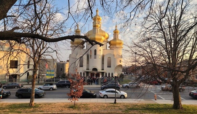 Patterson Park Gem, Walk Everywhere