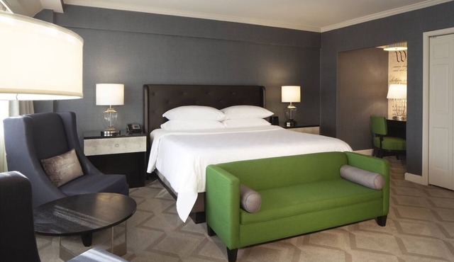 Pet-Friendly Accommodations at The Melrose Georgetown Hotel
