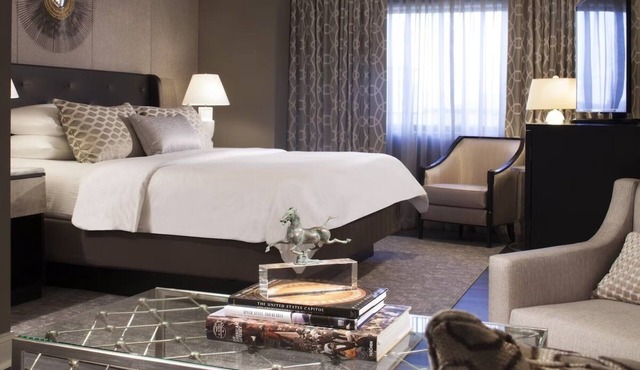 Pet-Friendly Accommodations at The Melrose Georgetown Hotel