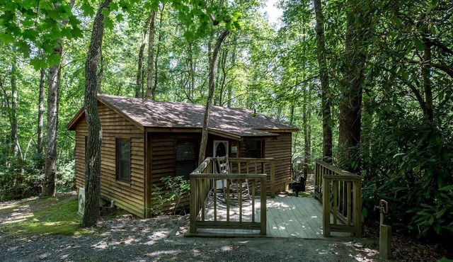 Pet-Friendly Cabin in North Carolina for Amazing Getaways in the Mountains