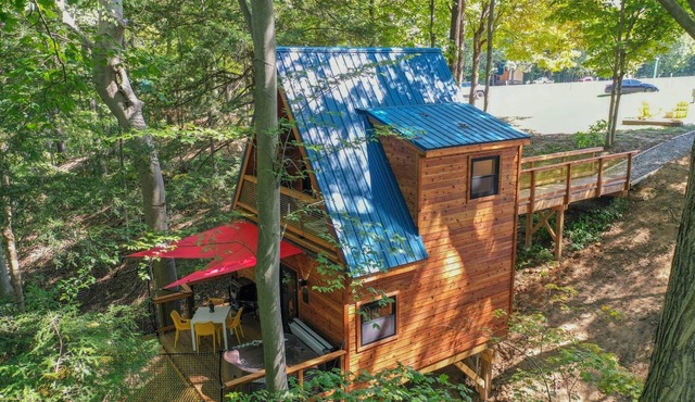 Pikachu's Palace Treehouse