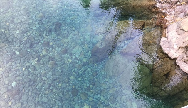 Private Off Grid cabin on North Fork of Smith River - WiFi - Pet Friendly in smith river