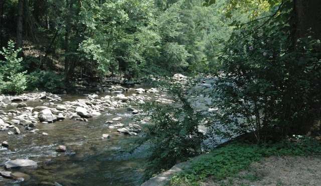 River View Cabin/Steps to River Access/Walk to Downtown Gatlinburg/Hot Tub+Sauna