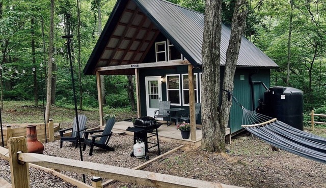 Romantic A-Frame Cabin on 11 acres, Fire Pit, Near The Wilds & Other Adventures
