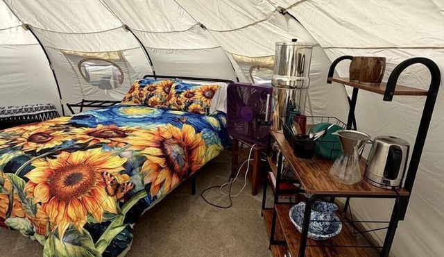 Rustic-Chic Bell Tent with Forest Retreat Amenities Near Wolf Creek, Oregon