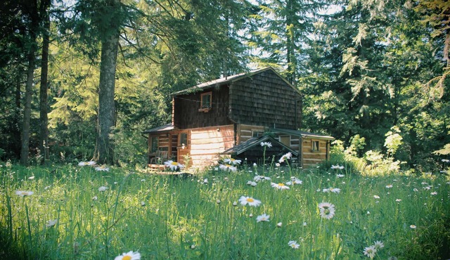 Rustic Riverfront Cabin in Mt. Hood- Hiking, Skiing, and Outdoor Adventures