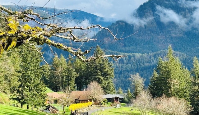 Sauna, River Views, 4BR Homestead Retreat