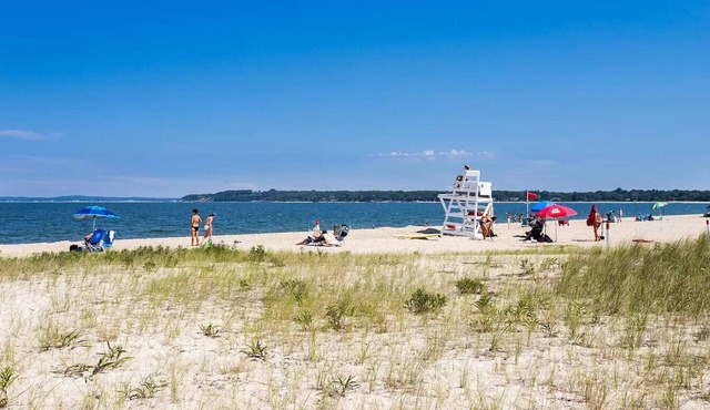 Seashell – Short Walk to Long Beach, Heated Pool & Best Sunsets in the Hamptons
