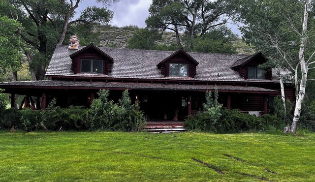 Secluded forest cabin with lush yard and great loft.Recreation of all types near