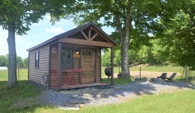 Serene Glamping Cabin with Luxury Bedding Near Finger Lakes in Ithaca, New York