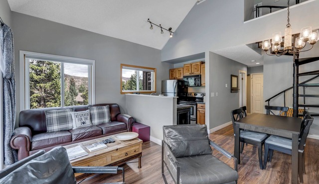 Ski in/Ski-out 1 bedroom + loft, 2 bath. Pet Friendly!