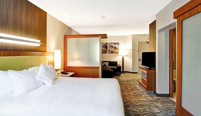 SpringHill Suites By Marriott Columbia Fort Meade Area