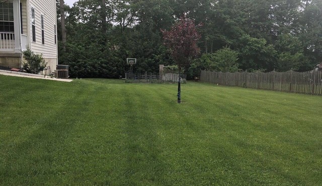 The hidden gem retreat in the suburb of DC/Baltimore area