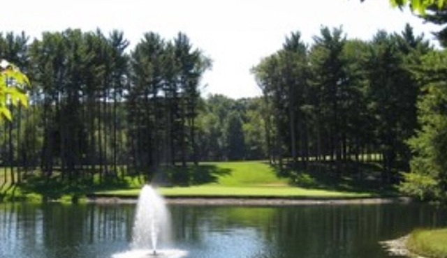 The Pines of Apple Valley. 31 beautiful vacation cabins.