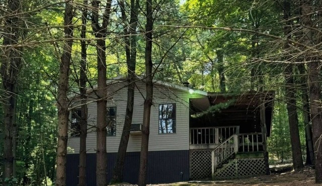 Timberline Cabins - Wildwood Cottage - Hot tub, Pets, WiFi