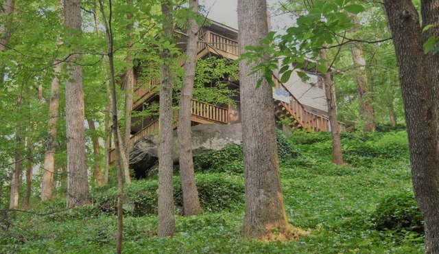 Updated Chimney Rock cabin - Views & River Sounds