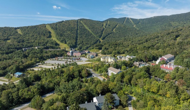 Vermont Escape: Cozy Condo by Sugarbush Resort