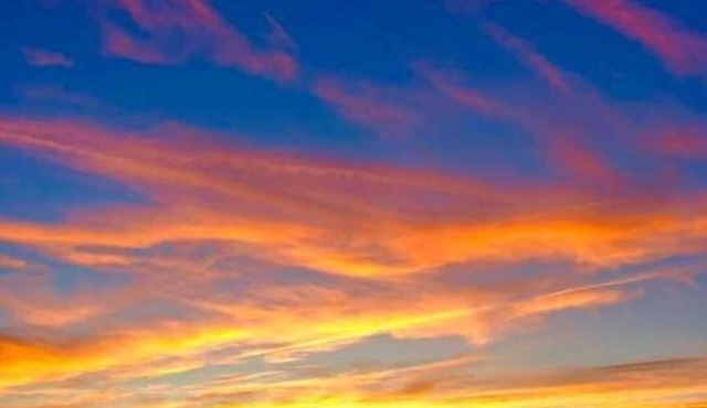 Waterfront Beach Cottage Studio Sunsets Private 90 mins MetLife