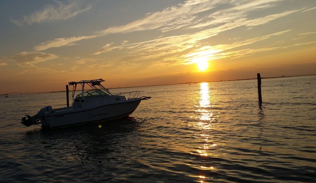 Weekends, midweeks and full weeks available! Steps to Beach, town and ferries!
