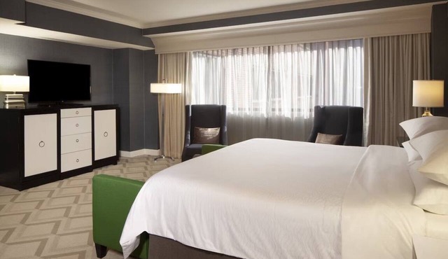 Wellness Deluxe King at Melrose Georgetown Hotel, Pets Allowed