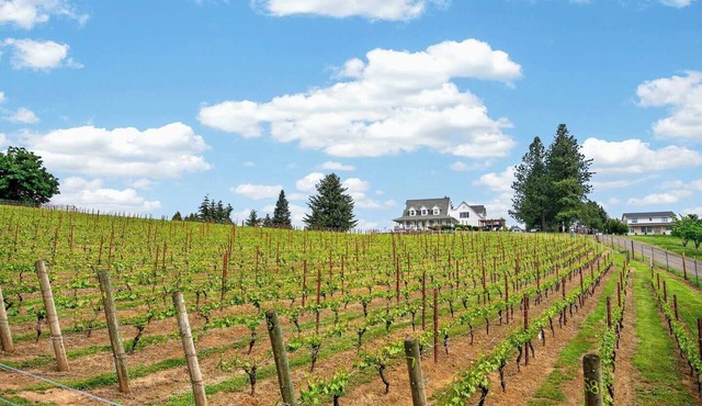 Willamette Wine Country Vineyard Escape