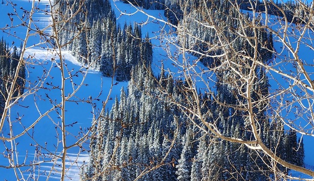 WORLD CUP VIEWS from Balcony Walk to Slopes