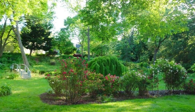 Wren Retweet- Country Estate in Center of C’Town