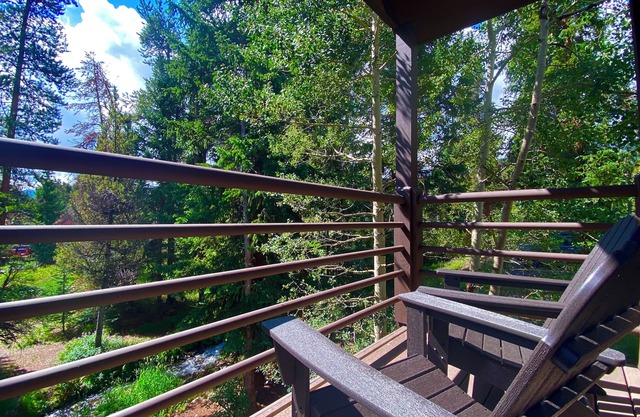 Best Ski Slope View, Ski-in Condo. Easy to walk!